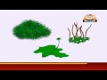 Learn about Plants  in Hindi - Bryophytes