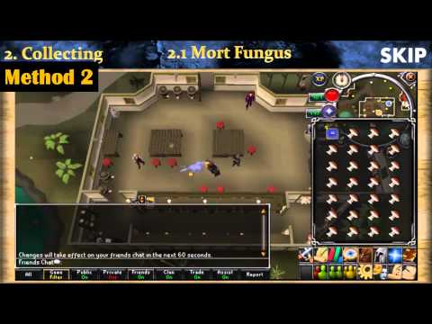 how to collect rc book