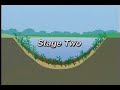 4 Steps to the Perfect Ecosystem