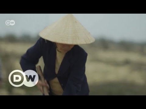 Wetterextreme in Vietnam nehmen zu | DW Deutsch