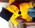 winnie the pooh