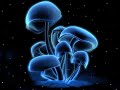 Azax syndrom - real magic Azax syndrom - real magic