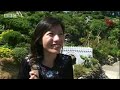 A Question of nationality in Taiwan - BBC Holidays in the Danger Zone