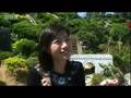 A Question of nationality in Taiwan - BBC Holidays in the Danger Zone
