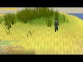 My Lil Apple [RuneScape Skiller] Progress Video 2.0 --Bank+Stats+P.C.+ 90 Firemaking