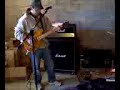 Marshall JVM w/ Peavey Wolfgang