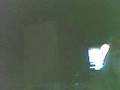 videos de Why is nene sleeping??