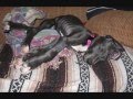videos de sierra b_0001.wmv