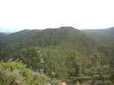 Mountian Top Mountian Top
