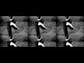 Dj Cargo - Jump To The Bass Dj Cargo - Jump To The Bass