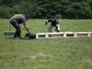 jagd terrier