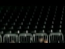 I Believe - Miami Basketball