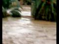 videos de INODATIONS GHARDAIA 2008