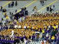 videos de LSU Tiger Band Hey Baby11.15.08