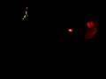 videos de Mustang VS Vette #1