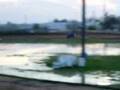 Mark Chaves Jr @ Chowchilla