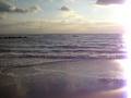 videos de Coney Island Beach