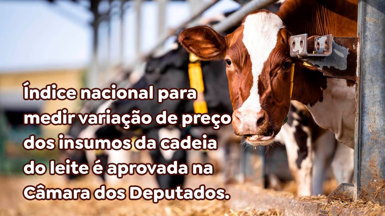 Índice nacional para medir variação de preço dos insumos da cadeia do leite é aprovada.