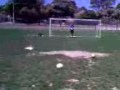Video0093.3gp