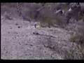 Ammonium Nitrate Explosion at 200 yards (iron sighted rifle)