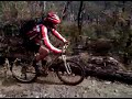 Windfall trees turned into a mountain bike rollover below Mt Wrightson