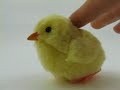 Dream Chick Toy from Japan Dream Chick Toy from Japan