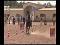 Rolf Janzen - Working Equitation EM 2008