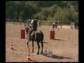 Rolf Janzen - Working Equitation EM 2008
