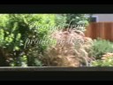 1226 Ridgeley Dr, Campbell
