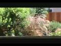 1226 Ridgeley Dr, Campbell