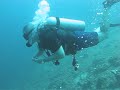 Night Dive Leisure Resort, Kirbys, Daryl Laut, Nov 14 09