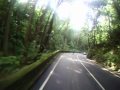 Jamaica Downhill Skateboarding: Longboarding Fern Gully