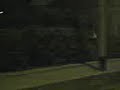 ahlvideos-estupidosas-aventuras-do-rapazfatodemacaco.html