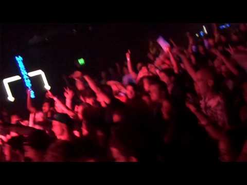 Beardo - 