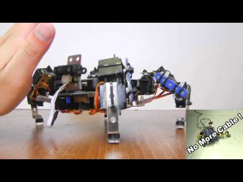 Solar Quadruped