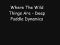 Deep Puddle Dynamics - Where The Wild Things Are