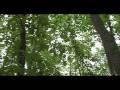 speak-out-episode-12-affirmative-action.html