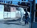 pony.3gp