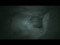 Sleep Sleep