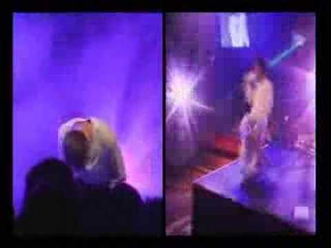 Pop Val Stukkend Chris Chameleon
