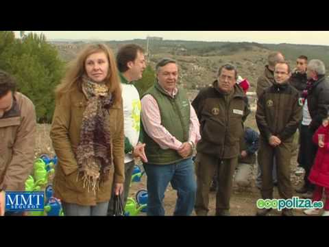 Imagen de previsualización de YouTube