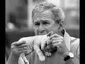 The president in the America can do even by the chimpanzee