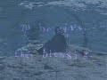 To Feel Alive