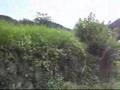 隠れ家別荘『協創ダッシュ村@英田上山無心庵』第一回草刈大会