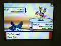 Pokemon Battle snarf Xerxes vs Dumphuk Pokemon Battle snarf Xerxes vs Dumphuk