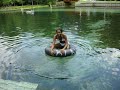 ALmost falling in the water at rock springs....