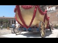 Il carro di Santa Rosalia tra barocco e tradizione