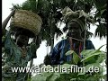 Adire - Indigo Textiles amongst the Yoruba Adire - Indigo Textiles amongst the Yoruba