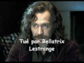 Harry Potter /// Tout Les Morts De La Saga
