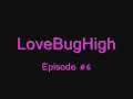 videos de Love Bug Hig #6